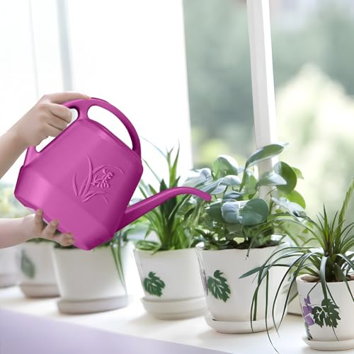 Image of Plastic Watering Can - for Home Plant Garden - 1 /2 Gallon - Rose Red