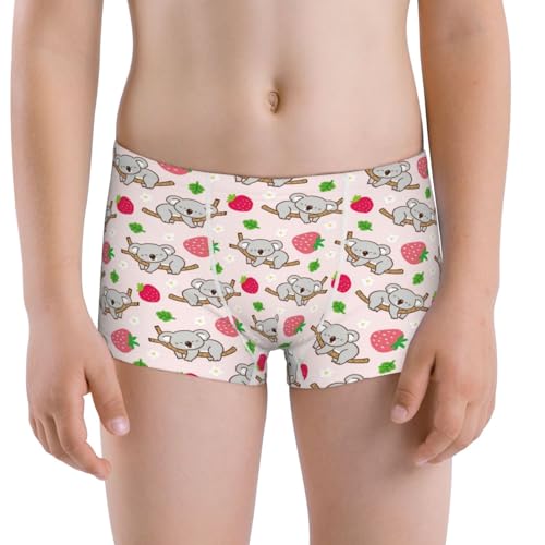 Boys' Cotton Boxer Brief Soft Underwear-Cartoon Koala Bear