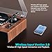 Record Player with Speaker, Vinyl Record Turntable with Magnetic Cartridge for Home Decoration and Entertainment, Vinyl Record Player Suitable for Christmas or Birthday Gift
