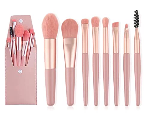 DFsucces Professional Makeup Brushes Set,Portable Make Up Brushes,8Pcs Make Up Brushes Set including Eyeshadow/Eyebrow/Powder/Cosmetic Brush and Cosmetic Bag,Mini Size Makeup Brusher