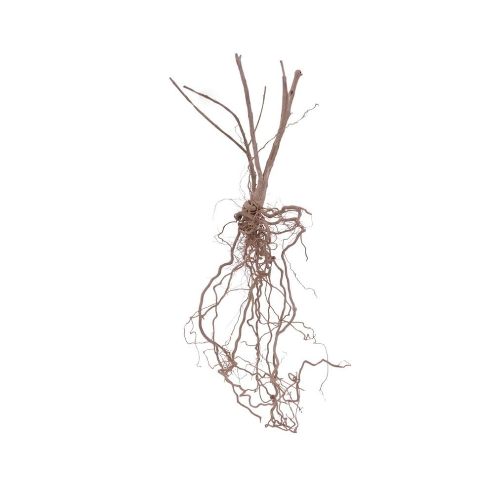 Décoration d'aquarium en bois naturel AquaOne Steppen n° 8452 pour un paysage aquatique premium
