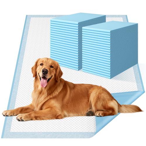 Image of Extra Large Dog Pee Pads 31x47 40 Count Heavy Duty Absorbent Puppy Pad | 6-layer super absorbent, Leak-proof, Wee wee pads, Big dogs, Multi-pet homes, Heavy duty protection, Against spills & odors
