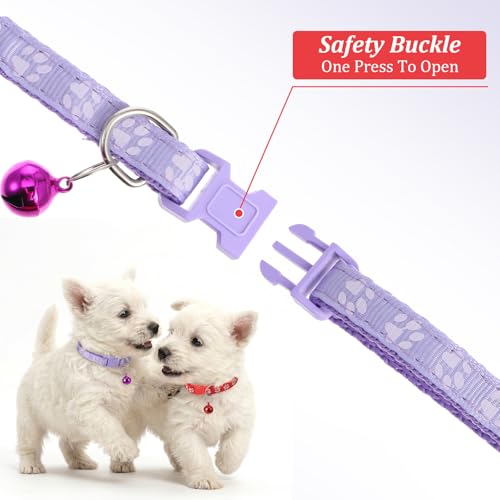 Pack 12 Collares Pequeños para Cachorros Ajustables 18-30cm miniatura 5