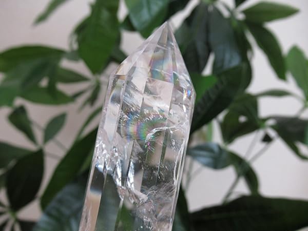 Amazon.co.jp: ブラジル トカンティンス州産 ヴォーゲルワンド 両剣