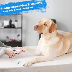 7PCS-Dog-Grooming-Kit-Deshedding-Dog-Brush-Dog-Pin-Brush-Flea-comb-for-dogs-metal-comb-Bath-Brush-Dog-Nail-Clipper-and-Nail-File-Dog-Brush-Set-for-Small-Medium-and-Large-Dogs-Blue - Cucciolini Doodles   7PCS-Dog-Grooming-Kit-Deshedding-Dog-Brush-Dog-Pin-Brush-Flea-comb-for-dogs-metal-comb-Bath-Brush-Dog-Nail-Clipper-and-Nail-File-Dog-Brush-Set-for-Small-Medium-and-Large-Dogs-Blue