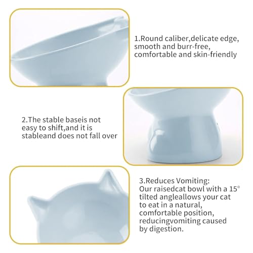 Katzennapf Erhöht Fressnapf Katze mit 15° Neigung Design,Futternapf Katze,Katzenfutternapf für Futter und Wasser,perfekt für Haustiere Katzen und Welpen (Grau, Einfarbig)