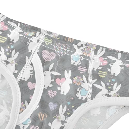 Boys' Exclusive Briefs Toddler Underwear 95% Combed Cotton Boxerbriefs 2T Bunny and Heart Pattern 94