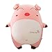 ZYING Peluche ressemblant à Un bébé Cochon - Jouet en Peluche Porcinet (Color : B, Size : 40cm)