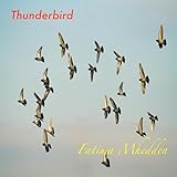  Thunderbird