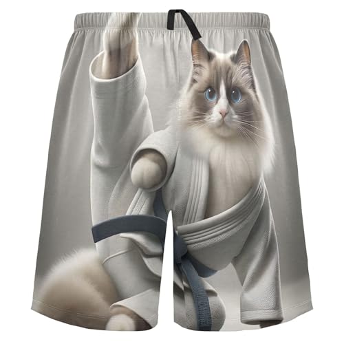 Colorful Pajama Mens Shorts Athletic Pj Sleep Shorts Funny Soft Comfy Kung Fu Cat Ragdoll S