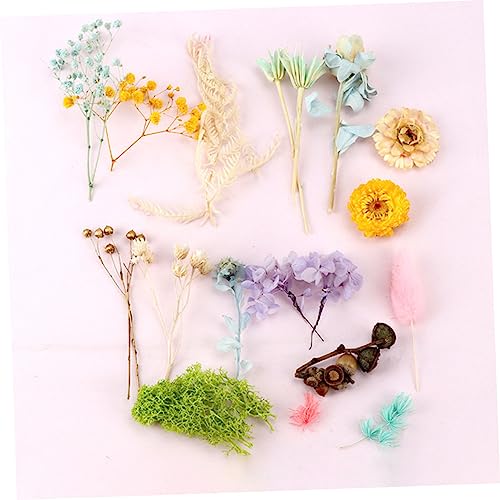 BESTOYARD 2 Conjuntos De Flores Secas Preservadas Faça Você Mesmo Flores Secas Artesanato Flores Sec