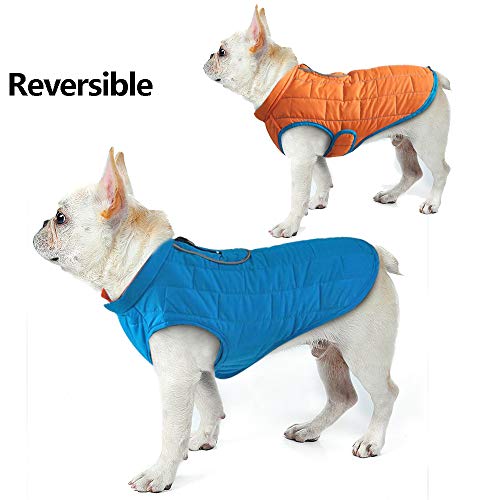 Combinaison de ski pour chien imperméable résolvant le problème du froid - 3