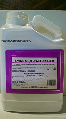 Amine 4 2,4-D Weed Killer 1 gal