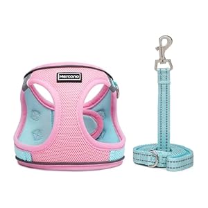 Soft Mesh Dog Harness and Leash Set Nochock Stepin Reflective Breathable Lightweight Easy Walk Escape Proof Vest Harnesses with Safety Buckle for Small Medium Dogs Cats m Pink Blue Cucciolini Doodles Soft mesh dog harness and leash set no chock step in reflective breathable lightweight easy walk escape proof vest harnesses with safety buckle for small medium dogs cats m pink blue cucciolini doodles