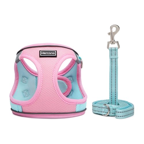 Soft Mesh Dog Harness and Leash Set Nochock Stepin Reflective Breathable Lightweight Easy Walk Escape Proof Vest Harnesses with Safety Buckle for Small Medium Dogs Cats m Pink Blue Cucciolini Doodles Soft mesh dog harness and leash set no chock step in reflective breathable lightweight easy walk escape proof vest harnesses with safety buckle for small medium dogs cats m pink blue cucciolini doodles
