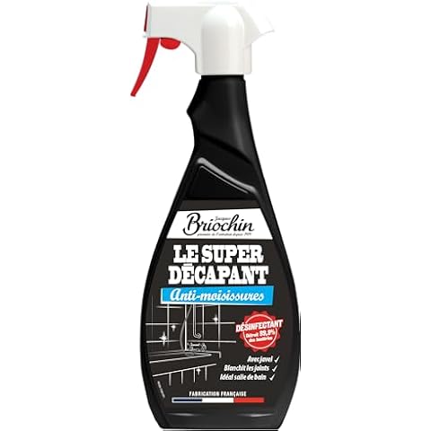Briochin Super décapant anti-moisissures Cover