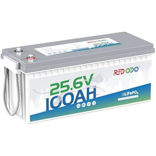 Redodo 24V 100Ah Marine Lithium Battery, for RV, Trolling Motor