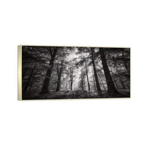 Tableau Toile Forêt Noir et Blanc Luxe d'Art avec Cadre Argenté