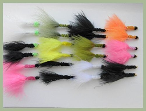 Tadpole trout Flies, lures, 24 Pack Mixed Colours, Goldhead & Unweighted Size 10