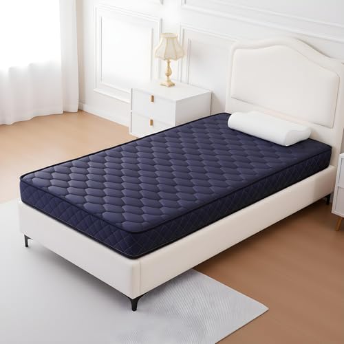 CHIUSNOOZE Twin 6 Inch Waterproof Memory Foam Mattress for Guest Bedroom