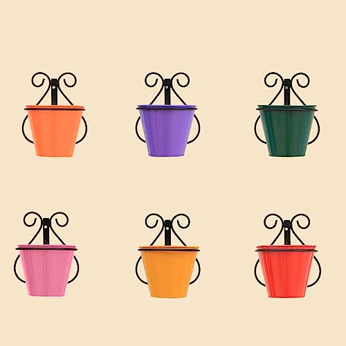 TrustBasket Rainbow Wall Mounting Planters with Stands (Set of 6) -Wall Hanging Pot Stand,Indoor/Outdoor Use,Home Decor/Garden Decor,Balcony Hanging,Office use with Multi-Color Pots