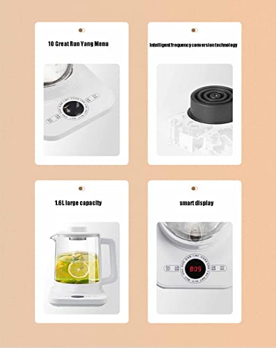 Hervidor eléctrico de vidrio 1.6L con control digital miniatura 5