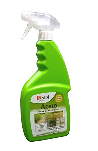 ZAPIVinegar Concentrate Bio ML. 750