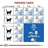 Royal Canin 55166 Indoor 2 kg - Katzenfutter