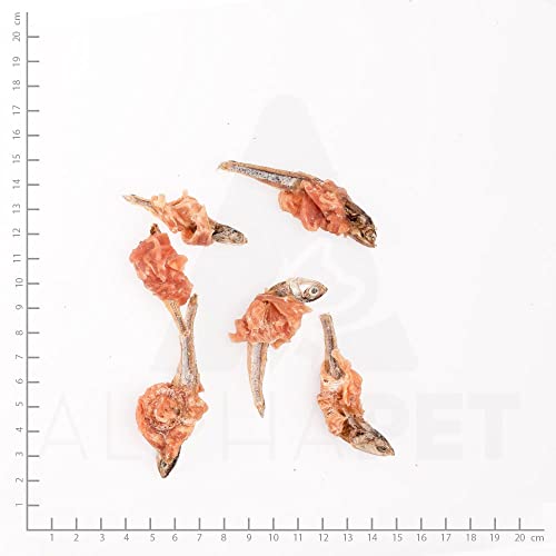 WILDES LAND – Hühnerbrust mit Fisch | Kausnack mit natürlichen Zutaten und extra hohem Fleischanteil für ausgewachsene Hunde. Getreidefreier Hundesnack ohne Zusatzstoffe im Beutel | 5x70g Huhn & Fisch