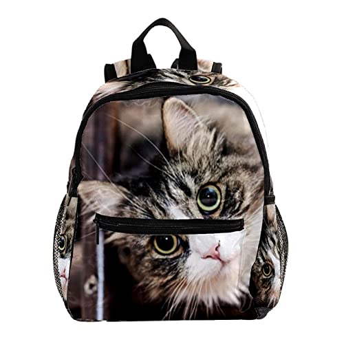 Sac à dos enfants motif chat multicolore idéal pour le parc