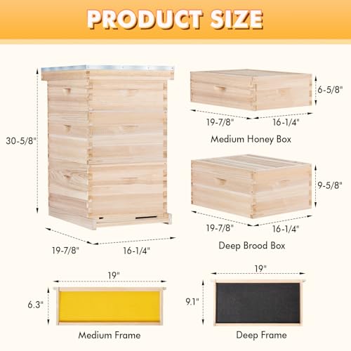 POLLIBEE Bee Hive,10 Frame Bee Hives Boxes Starter Kit, Langstroth Beehives Include 2 Deep Hive Boxes and 1 Medium Super Bee Box, Include Bee Hive Frames and Wax Foundation Sheet. - Image 5