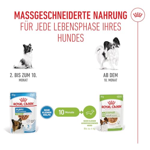 ROYAL CANIN X-SMALL Puppy Stückchen in Soße Feuchtnahrung für Hunde 12 x 85 g