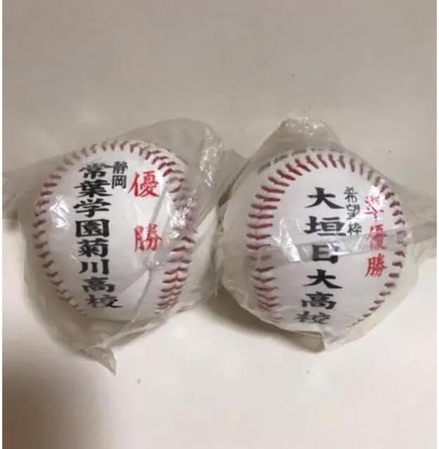 選抜高校野球大会 第79回 優勝 準優勝 ボール 常葉学園菊川高校 大垣日大高校 グッズ