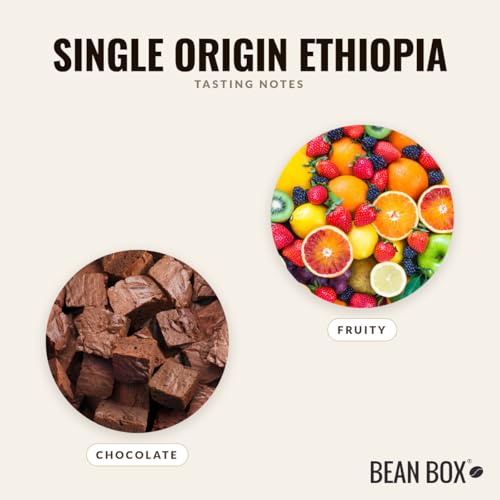 Single Origin Ethiopia - Café en Grano Tostado - 12 Ounce miniatura 3