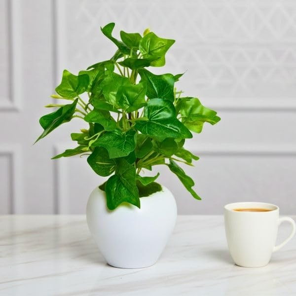 Image of fancymart Artificial Plant Leaves in Apple Pot (30 cm Height) | Small Potted Plant for Office Desk | Home Decor for Living Room | Cafe & Restaurant Table Decoration