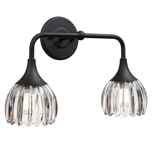 Image of Phansthy Bathroom Vanity Light Fixtures, Hardwired 2-Light Modern Sconces Wall Light Over Mirror with Clear Tulip Glass Shade for Bedroom Living Room Hallway Kitchen (Black + Clear Shade)