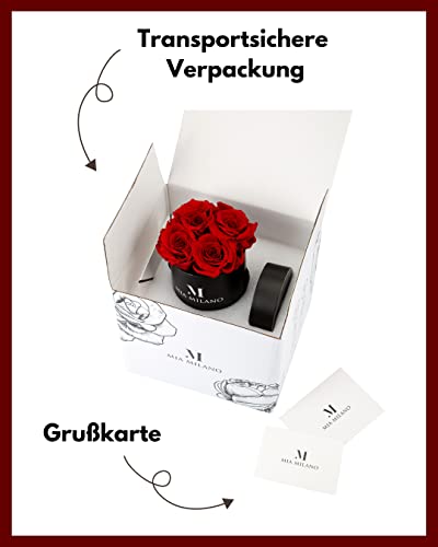 Rosenbox Mia Milano mit konservierten Rosen – Geschenkidee für besondere Anlässe