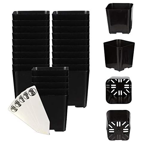 The Hydroponic City Black Square Flower Nursery Pots for Starting Seedlings, Succulents, or Cacti - 2" x 2", Pack of 25 + 5 THCity Stakes Cover