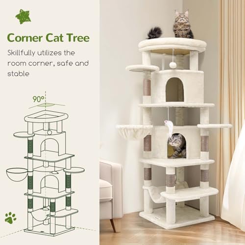 Arbre à chat pour grand chat avec hamac et panier stable Globlazer C66