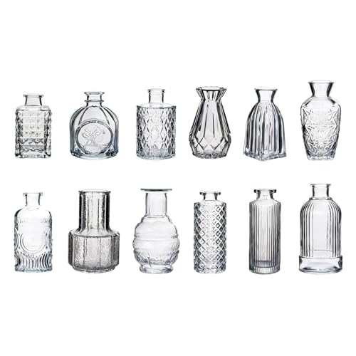 Vases à fleurs en verre transparent rétro soliflore pour mini décoration de table