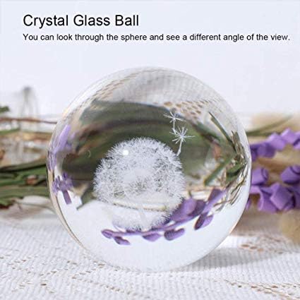 HDCRYSTALGIFTS 3D Carving Dandelion Crystal Ball Glass Sphere Display Paperweight with Free Glass Stand,2.4inch(60mm)