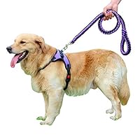 首輪・ハーネス・リード oto_okiku Amazon | OTOKU ハーネス リード付き 胴輪 首輪 犬 猫 小型 中型