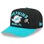 Miami Dolphins, Black