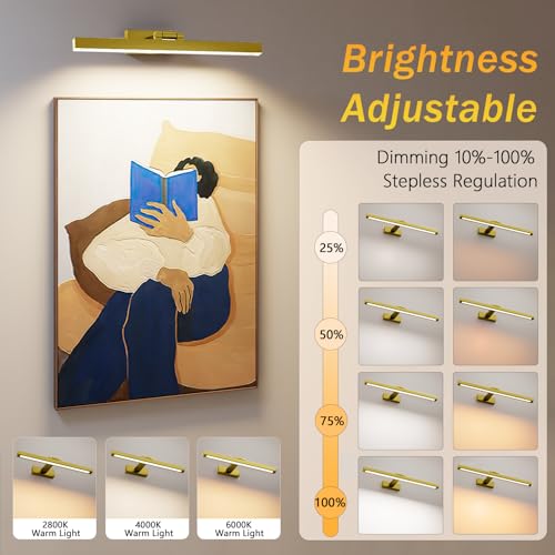 Image of Rechargeable Picture Light,15.74 Inch Battery Operated Wall Mounted Art Lamp with Remote,4000mAh Long Lasting,3 Color Dimmable Timer,270 Adjustable Gallery Poster Light(Brass)