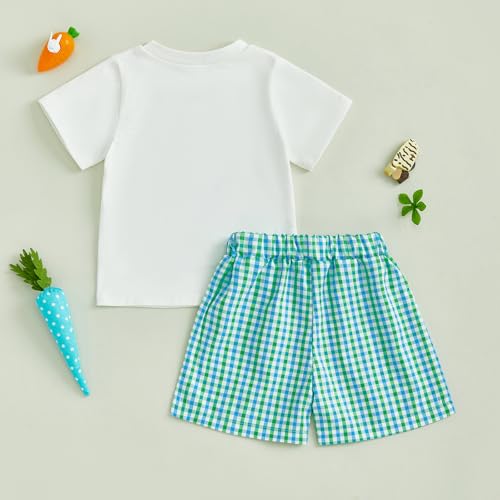 Image of Toddler Baby Boy Easter Rabbit Outfit Short Sleeve Bunny Carrot Smocked T-shirt Elastic Waist Shorts Summer Clothes