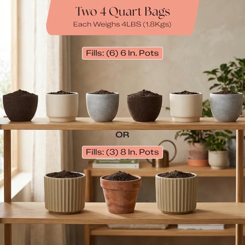 Image of Rosy Soil Cactus & Succulent Potting Mix, 4 Quarts, Pack of 2 | Organic Succulent Potting Soil, Chunky Fast Draining, Peat-Free, Root Boosting Mix, For AloeVera, Cacti, Indoor Succulents