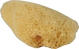 Fluker's 012197 Hermit Headquarters Hermit Crab Natural Sea Sponge