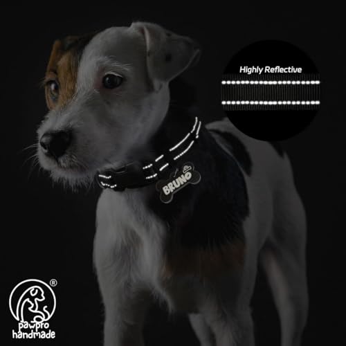 Image of PawPro Reflective Nylon Dog Collar - Custom Bone Tag with 5‑Foot Heavy‑Duty Leash - Soft Padded Handle, 360 Swivel Clip - Adjustable Pet Collar for Medium & Large Dogs (Graphite Black, Collar+Leash)