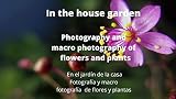  In the house garden Photography and macro photography of flowers and plants : En el jardín de la casa Fotografía y macro fotografía de flores y plantas (English Edition)