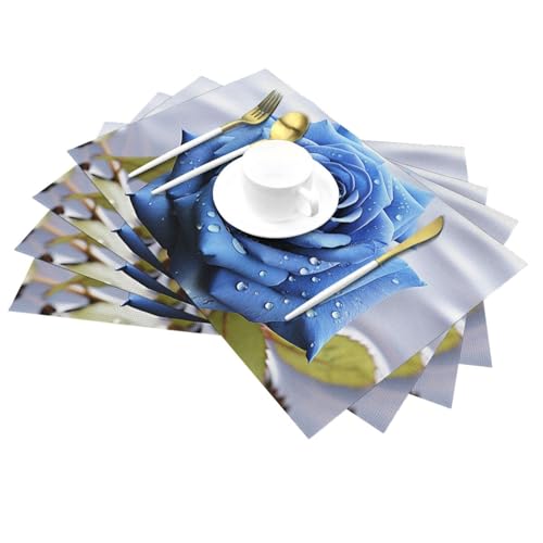 Sets de table lavables en PVC pour protéger votre table des taches - 7